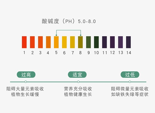 應(yīng)用土壤pH速測儀加強土壤檢測