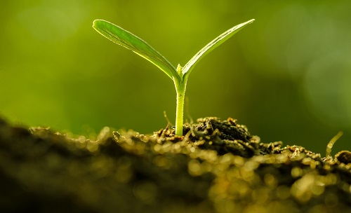 為避免誤導(dǎo)用戶，便攜式土壤水分速測儀使用需注意