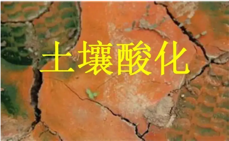 識別土壤“病”，土壤測試儀器是如何提高土壤免疫力的？