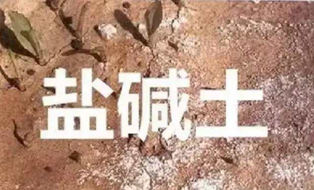作物為什么生長不健康，用土壤EC計(jì)測測便知