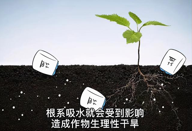 土壤EC值和pH值與作物生長的關(guān)系，利用土壤鹽分儀緩解土壤鹽漬化