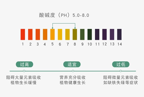 越來越嚴重的土壤酸化需要應(yīng)用土壤原位pH儀科學(xué)應(yīng)對